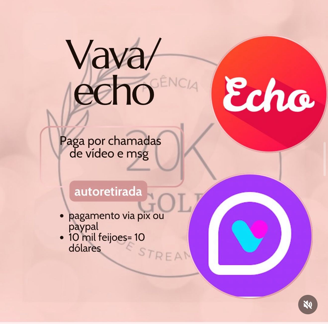 Logo Vava/Echo